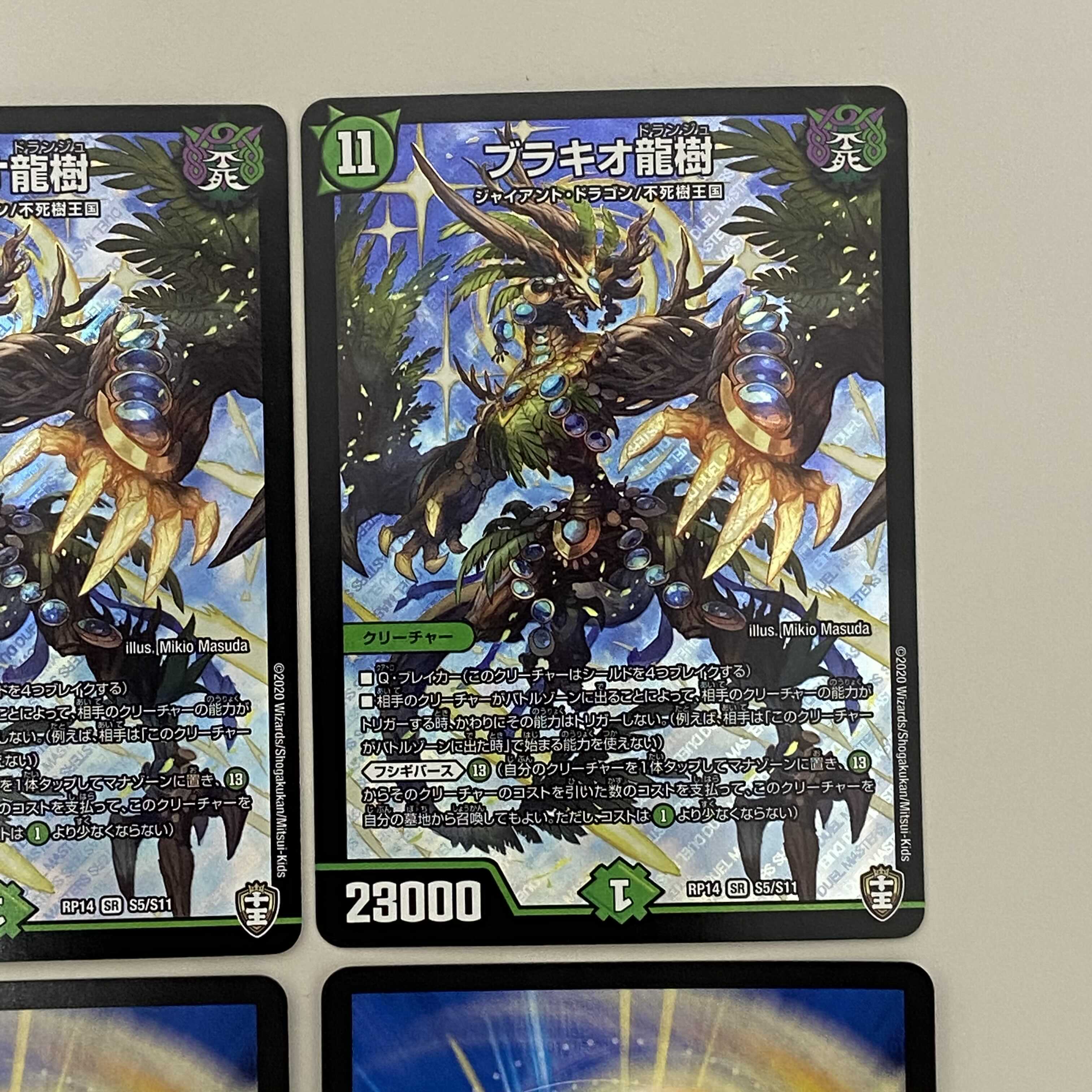 ブラキオ龍樹 4枚