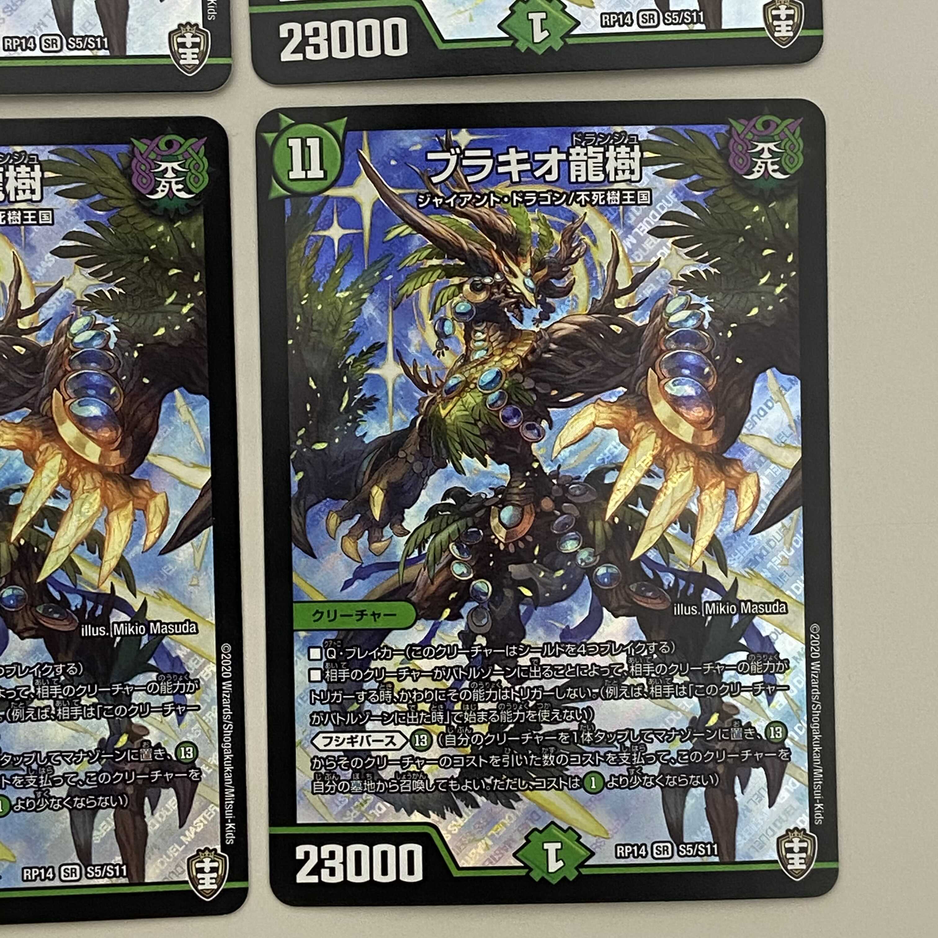 ブラキオ龍樹4枚