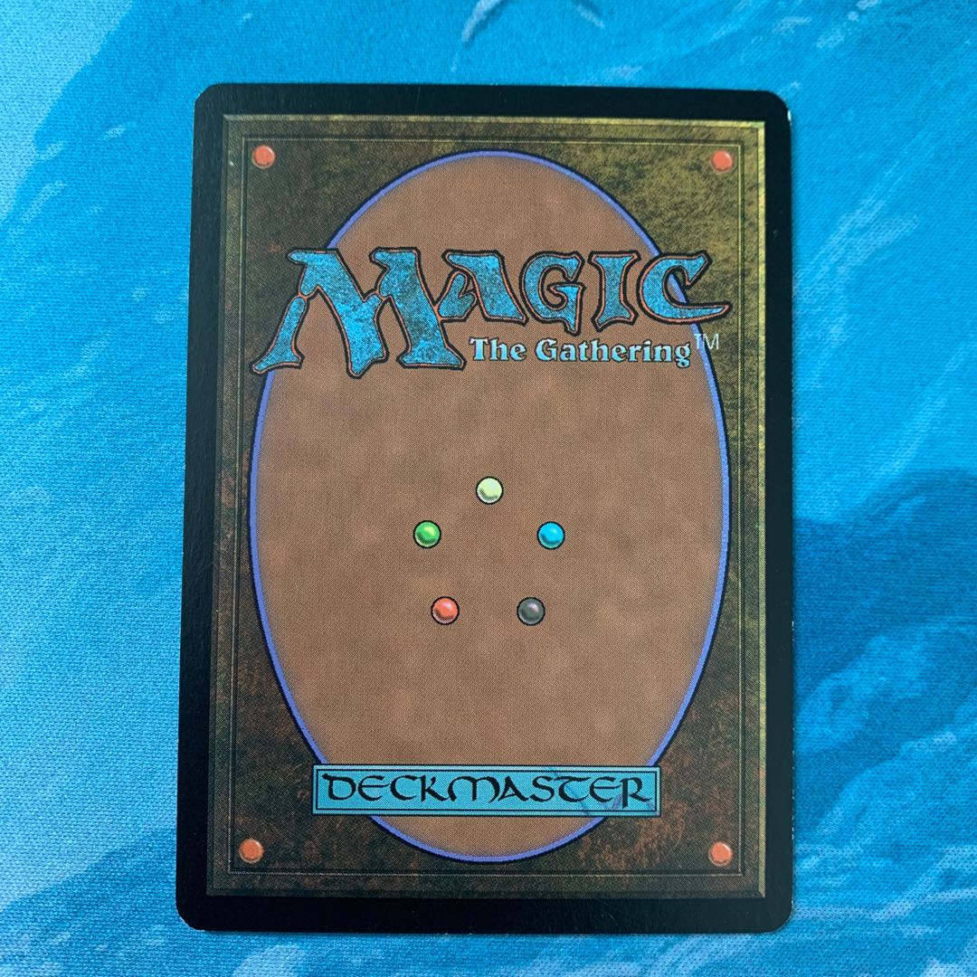 ♤ MTG Form of the Squirrel 1枚