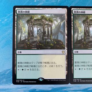 ♤ MTG 2 copies Temple of Plenty