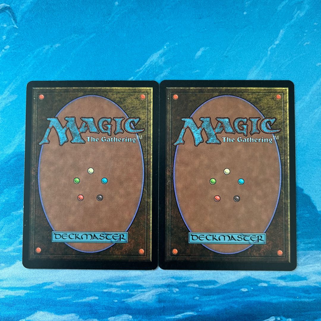 2 ♤MTG Paladin en-Vec