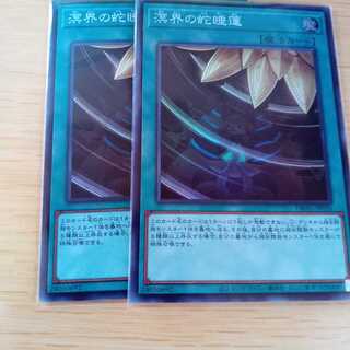 溟界の蛇睡蓮 スーパーレア　2枚セット