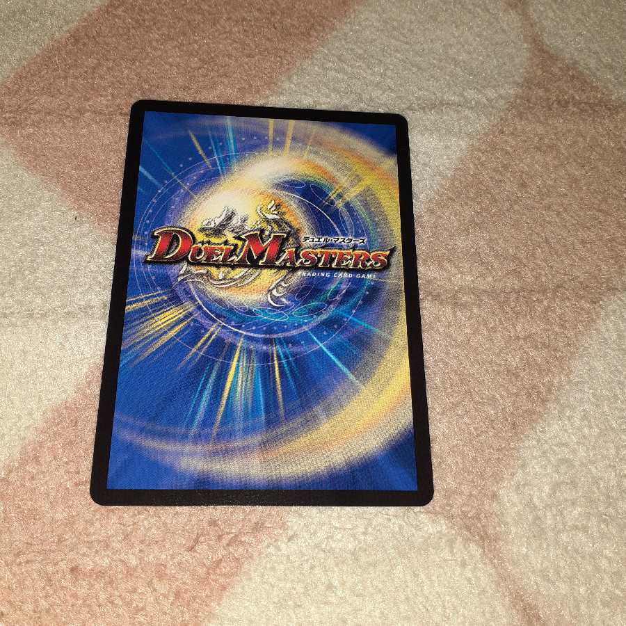 切札勝太&カツキング -熱血の物語- DSR