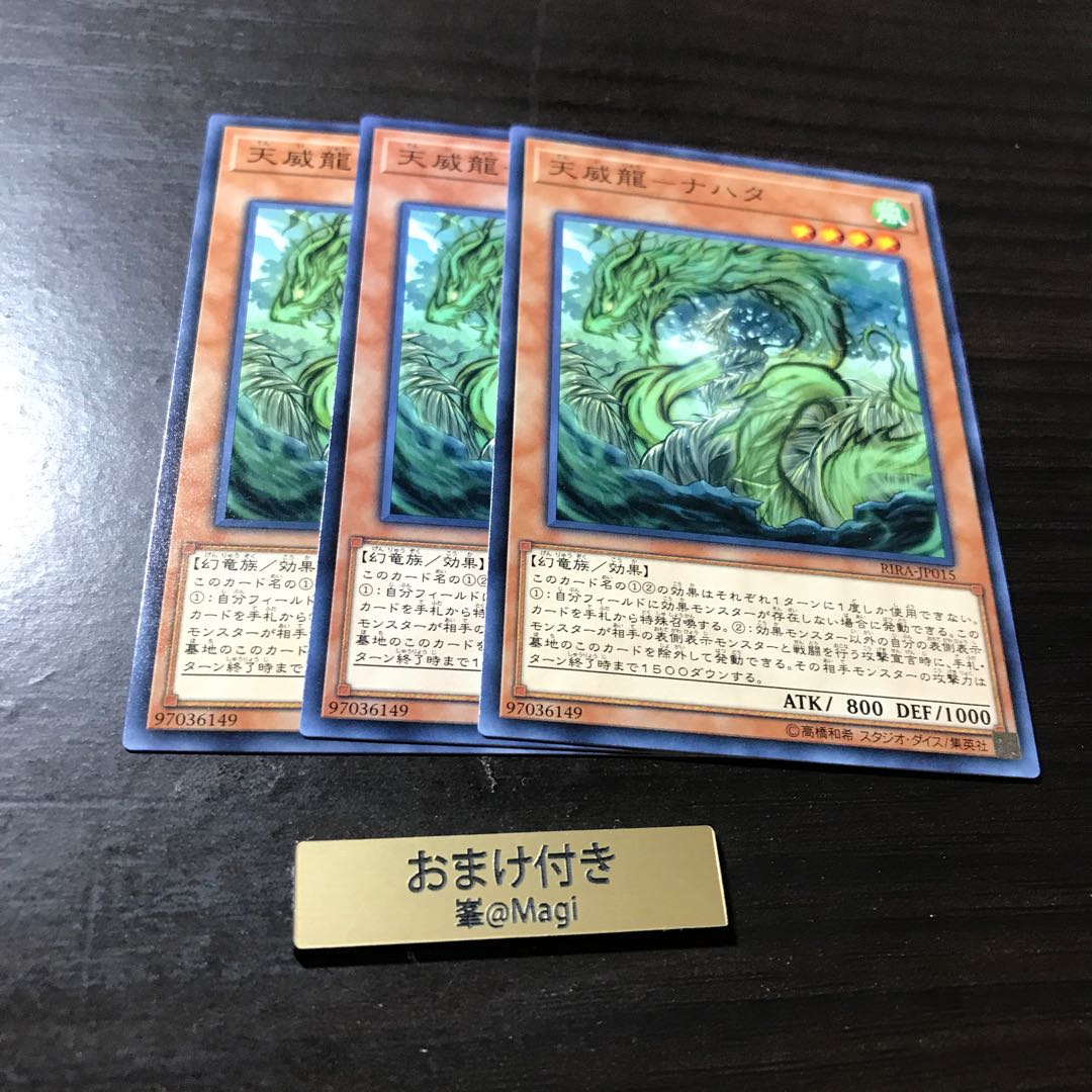 天威龍-ナハタ ノーマル