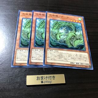 天威龍-ナハタ ノーマル