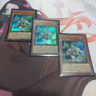 風霊媒師ウィン ウルトラレア