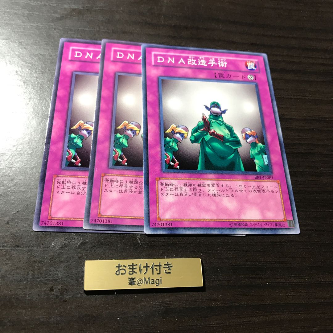 DNA改造手術 ノーマル