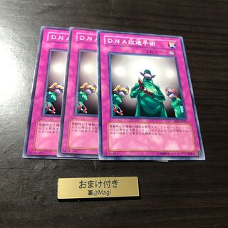 DNA改造手術 ノーマル