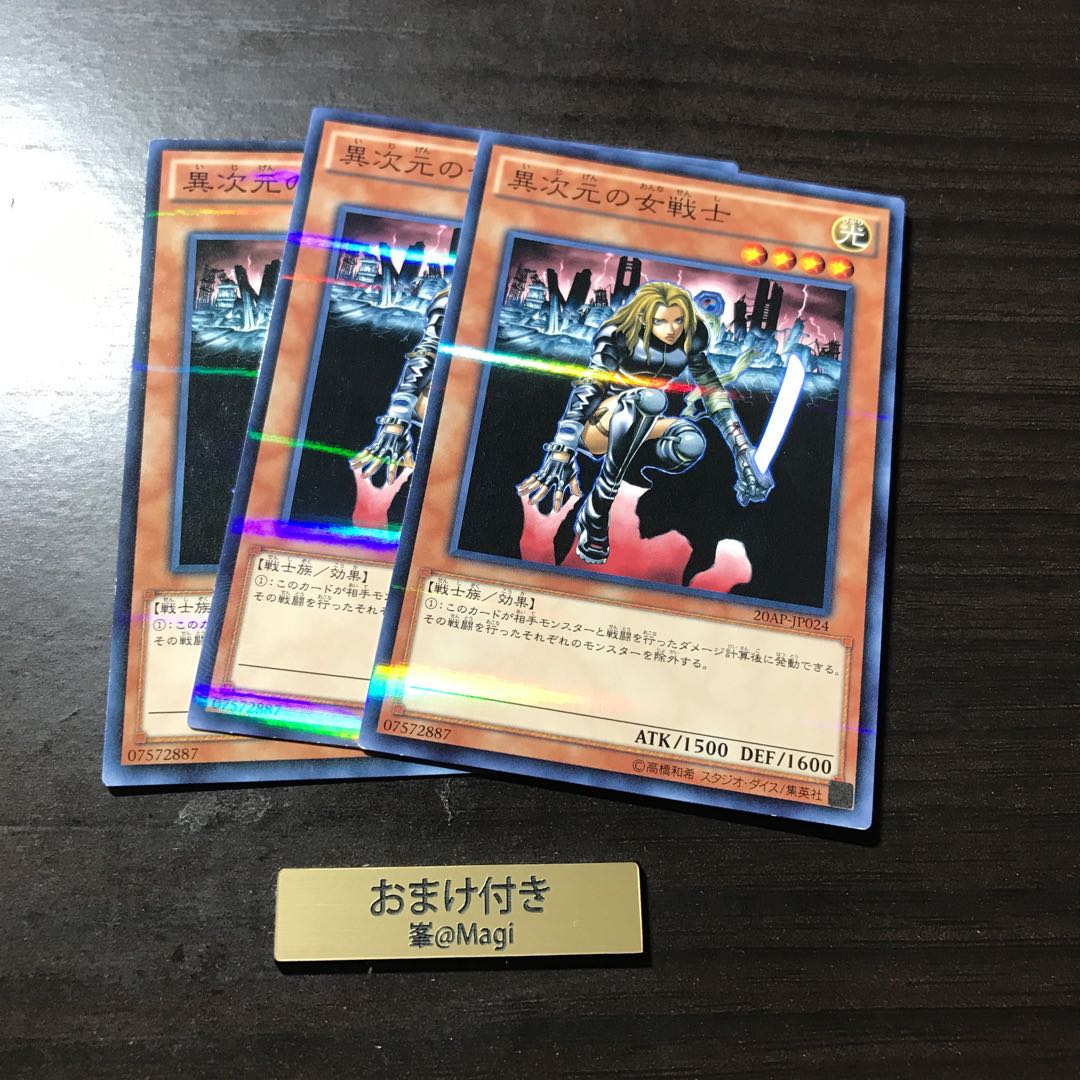 異次元の女戦士 パラレル ノーマル