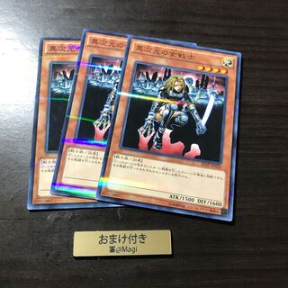 異次元の女戦士 パラレル ノーマル