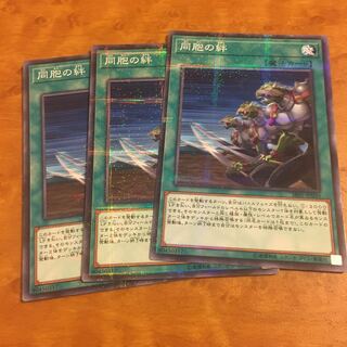 同胞の絆 パラレル ノーマル　