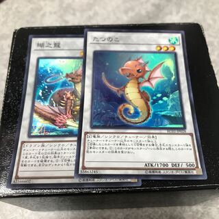 瑚之龍、たつのこ　スーパーレア