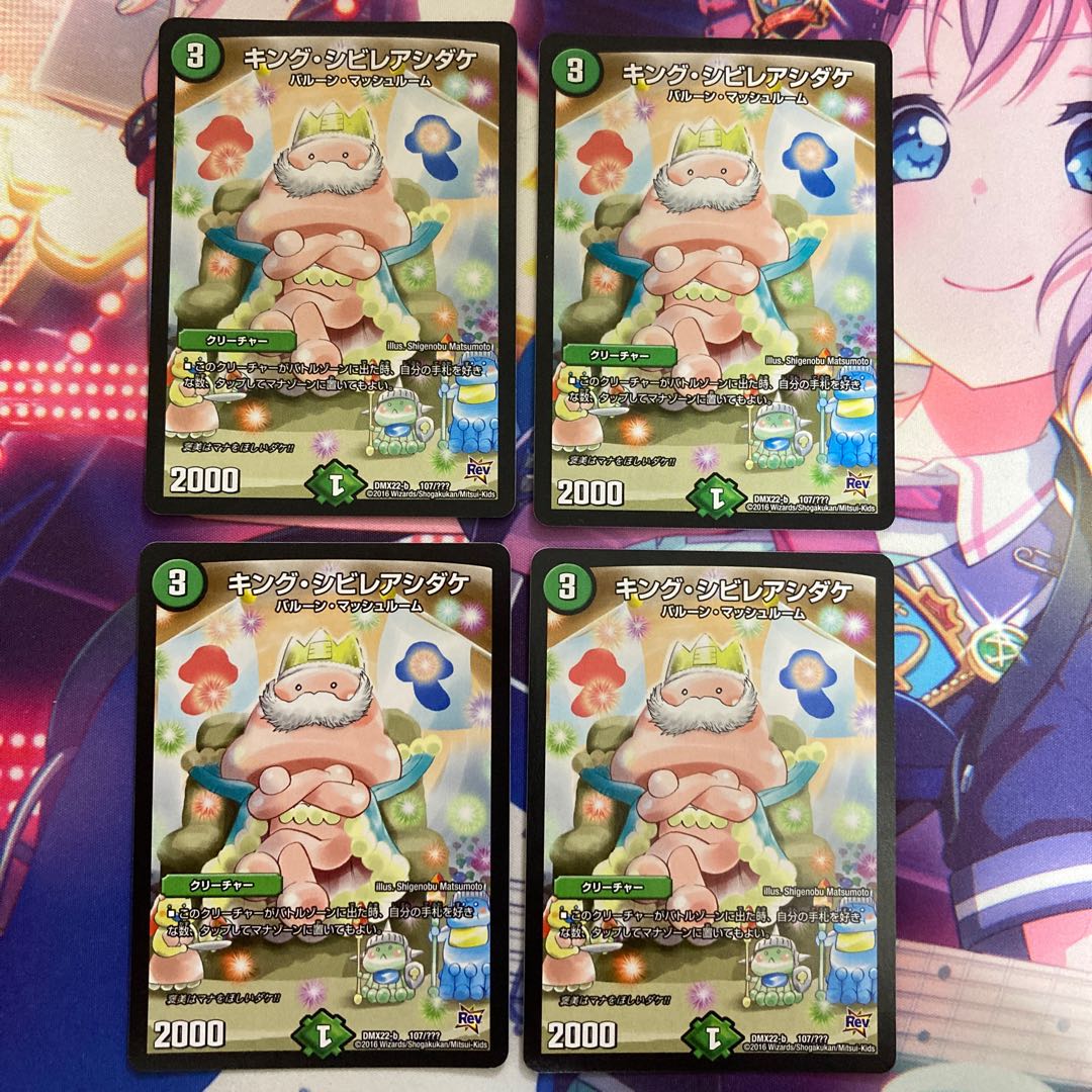 キング・シビレアシダケ 4枚セット