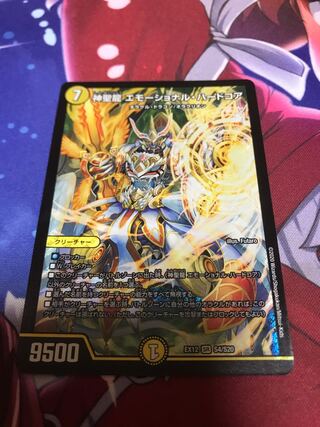 神聖龍 エモーショナル・ハードコア