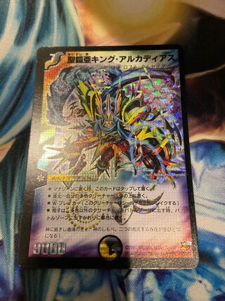 Holy Armor sub-King Arcadius (Error)