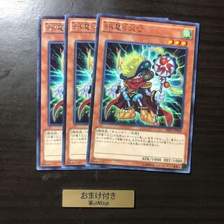 SR電々大公 レア　他　専用