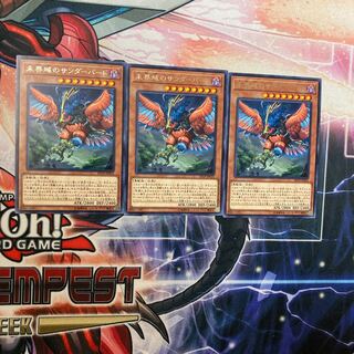 遊戯王　未界域のサンダーバード　3枚セット