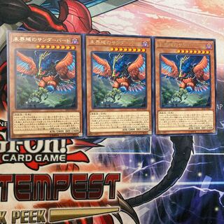 遊戯王　未界域のサンダーバード　レア3枚セット