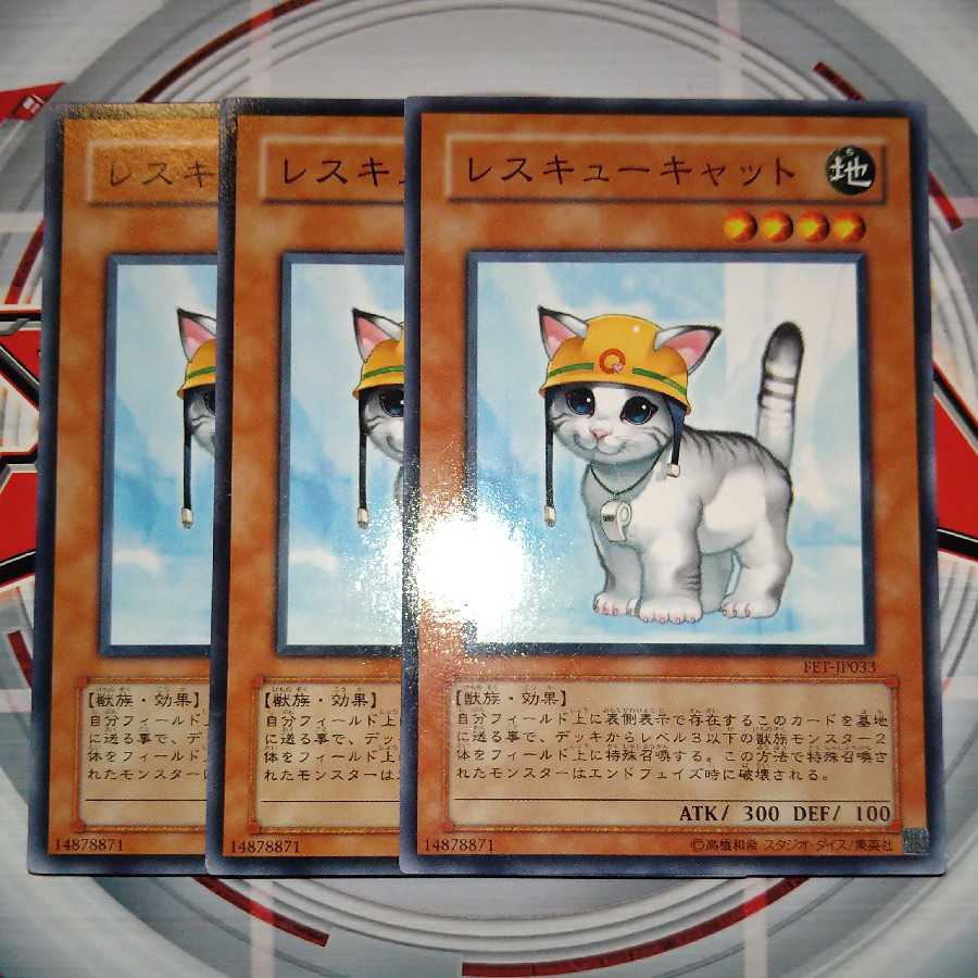 Rescue Cat Normal, set of 3