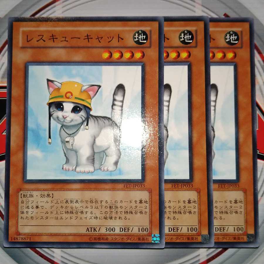 Rescue Cat Normal, set of 3