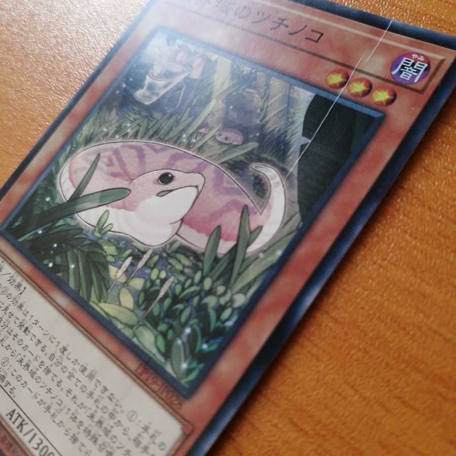 Danger! Tsuchinoko? Super Rare