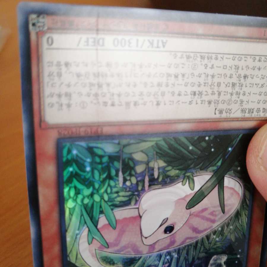 Danger! Tsuchinoko? Super Rare