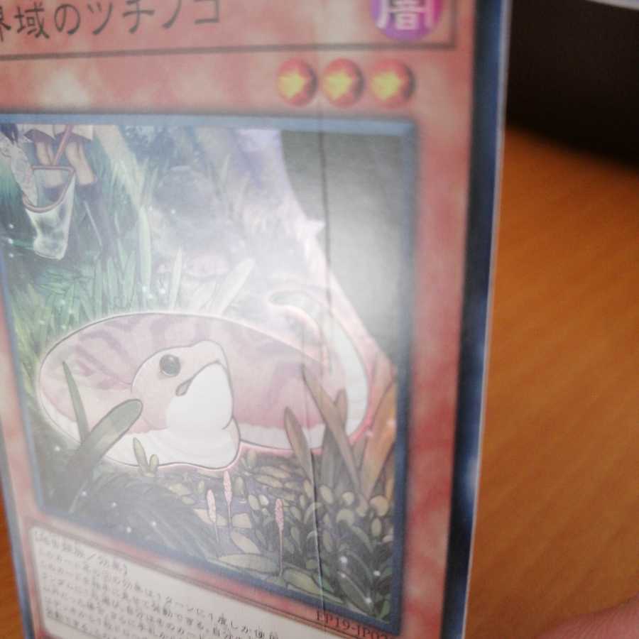 Danger! Tsuchinoko? Super Rare