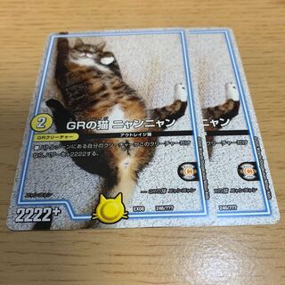 NO.28 GRの猫 ニャンニャン
