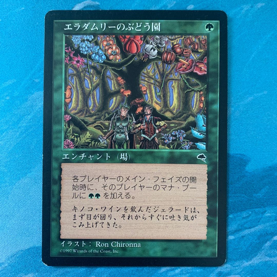 ♤MTG Eladamri's Vineyard