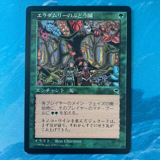 ♤MTG Eladamri's Vineyard