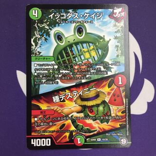 イッコダス・ケイジ｜種デスティニー R