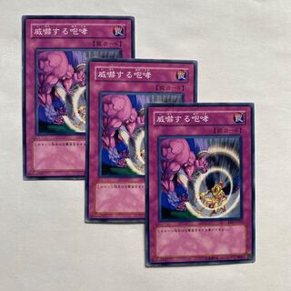 威嚇する咆哮 ノーマル3枚