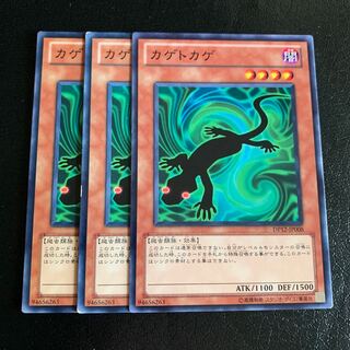 カゲトカゲ ノーマル