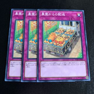 農園からの配送 ノーマル