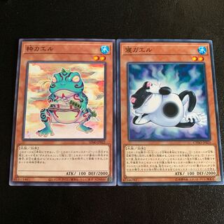 Ronintoadin Centerfrog