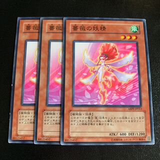 薔薇の妖精 ノーマル