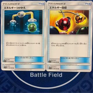 1日分の野菜様専用エネルギーつけかえ　エネルギー回収