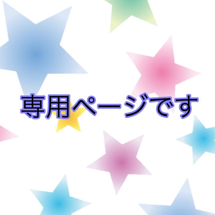専用ページになります。
