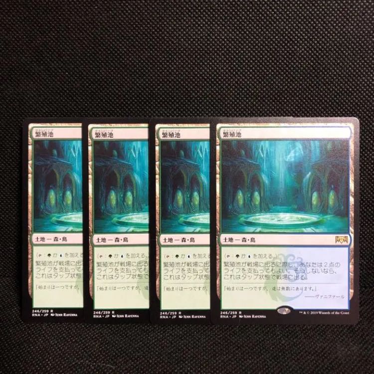 繁殖池　4枚　日