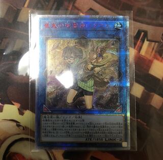 崔嵬の地霊使いアウス　20thシークレット