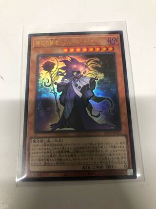 時花の賢者-フルール・ド・サージュ