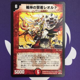 Leordo, the Sage of the Shield God R