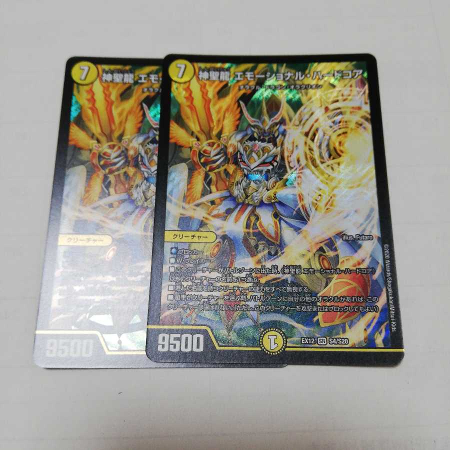 神聖龍 エモーショナル・ハードコア