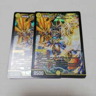 神聖龍 エモーショナル・ハードコア