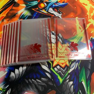 エヴァ ローダー 8枚