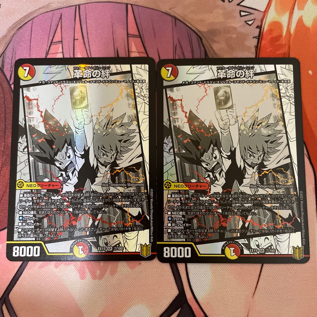 革命の絆 2枚セット