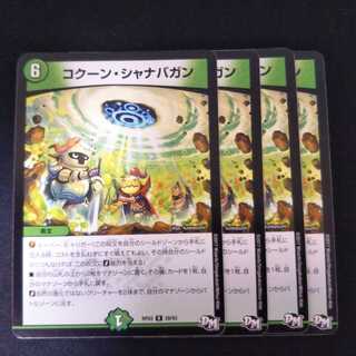 コクーン・シャナバガン R