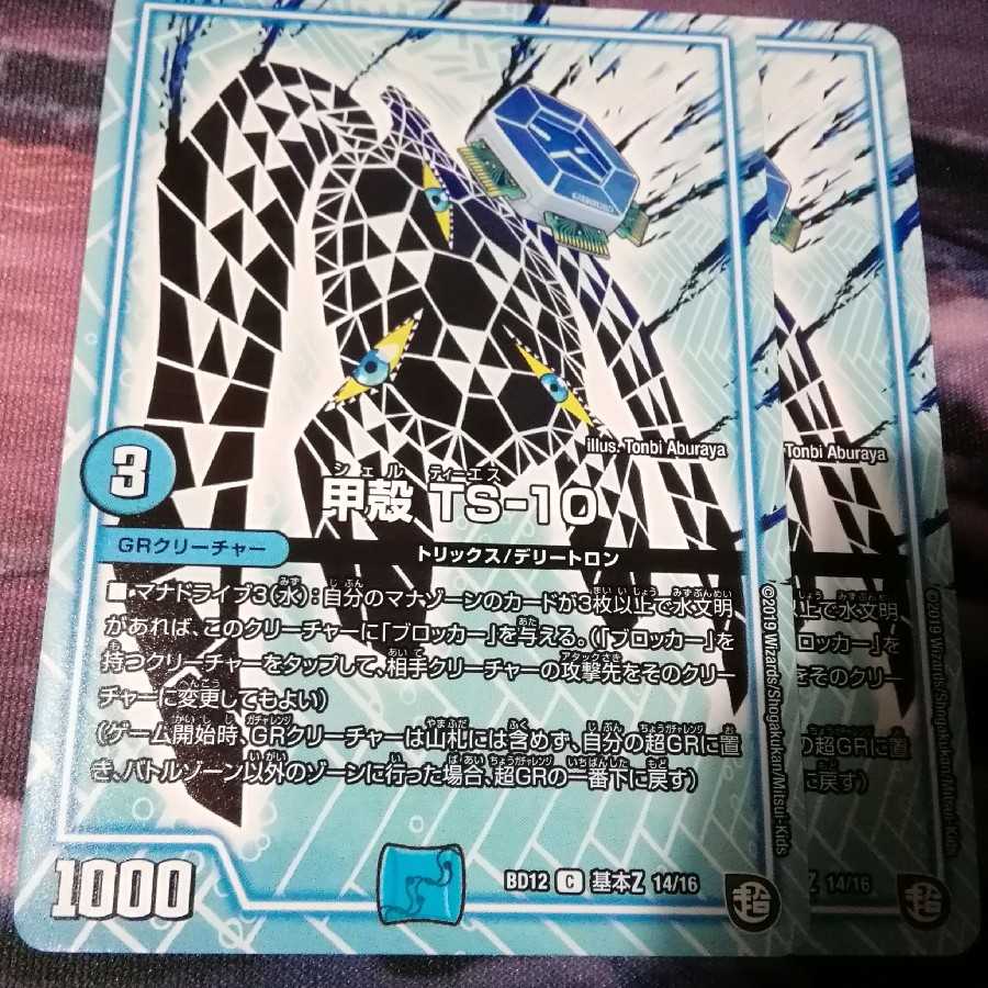 甲殻 TS-10　2枚　アカマル