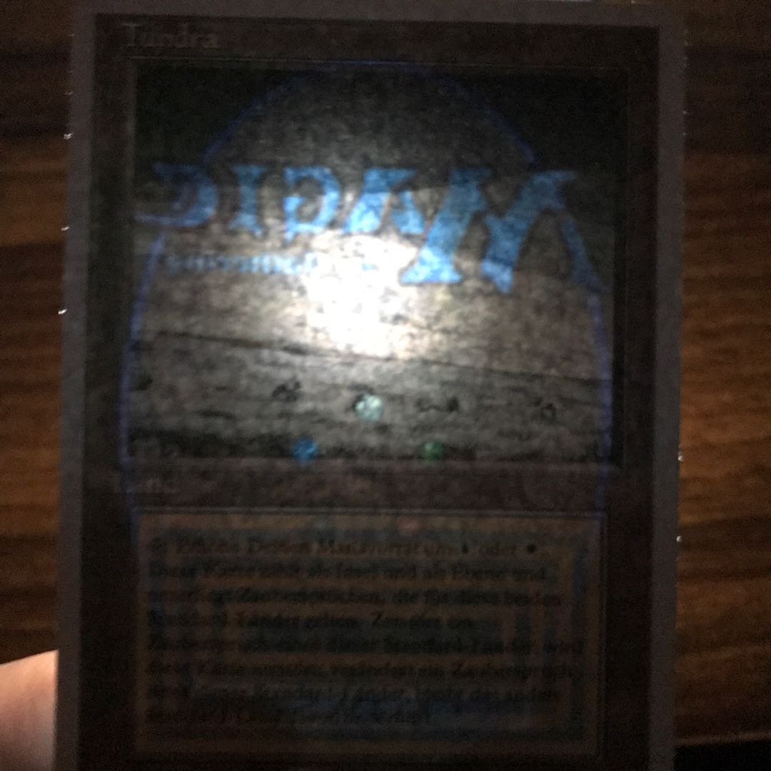 7/18出品停止予定/tundra/リバイズド/ツンドラ/ドイツ語/独語