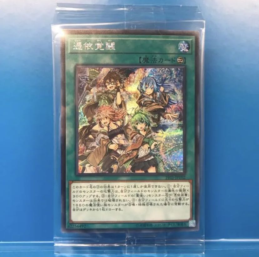 遊戯王　憑依覚醒　未開封